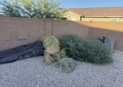 Trusted Junk Removal Service Company