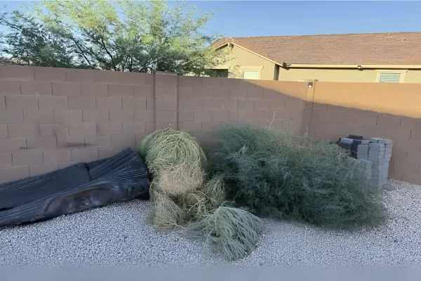 JC Ortega's Junk Removal's other services