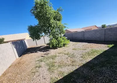 Trusted Yard Waste Removal